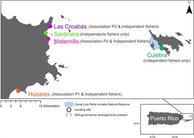 Social cohesion and self-governance arrangements among small-scale fisheries in Puerto Rico